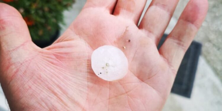 Coldiretti, violenta grandinata ha rovinato i raccolti a Decollatura