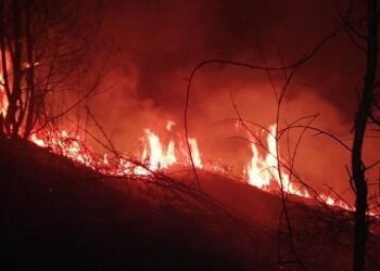 Gli incendi dolosi in Calabria, un flagello contro la natura e la nostra stessa sicurezza
