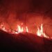 Gli incendi dolosi in Calabria, un flagello contro la natura e la nostra stessa sicurezza