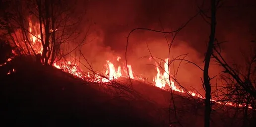 Gli incendi dolosi in Calabria, un flagello contro la natura e la nostra stessa sicurezza