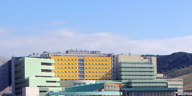 Università, Tallini: “Aumentare di almeno 50 unità il numero chiuso alla Magna Graecia