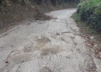 Località Bonomilo, Crapuzza e Gesariellu: Gigi De Grazia di Lista Unica denuncia la situazione in cui versa il paese