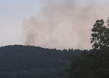 Petronà, un vasto incendio distrugge la macchia mediterranea