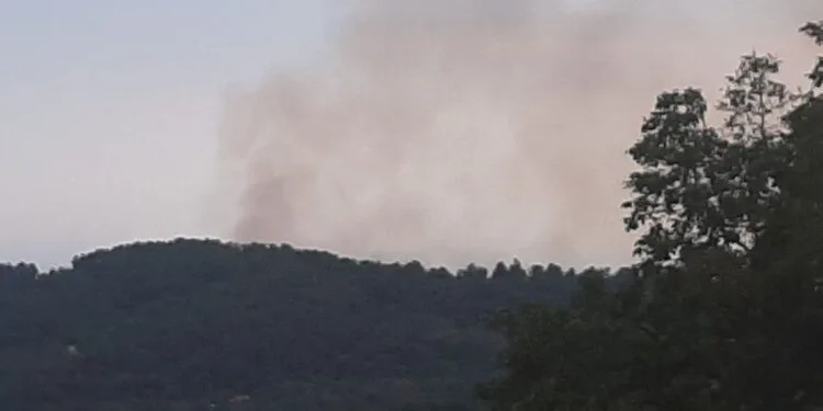Petronà, un vasto incendio distrugge la macchia mediterranea