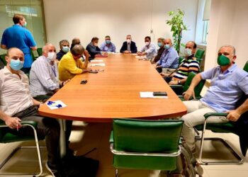 La regione punta sull’apicoltura, Gallo incontra le associazioni del settore