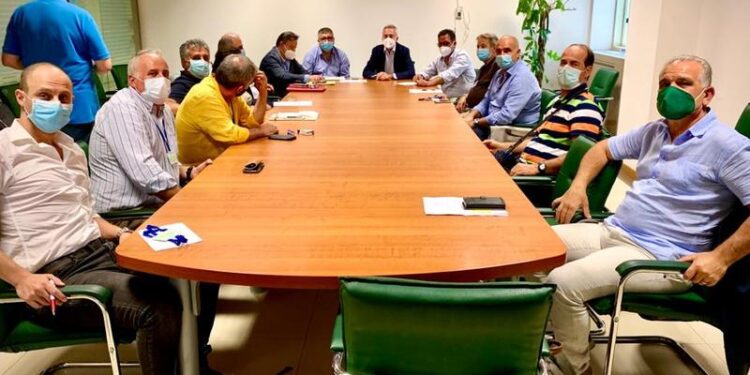 La regione punta sull’apicoltura, Gallo incontra le associazioni del settore