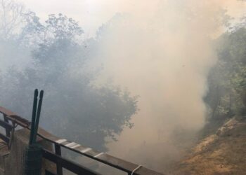 Petronà, incendio vicino alle abitazioni