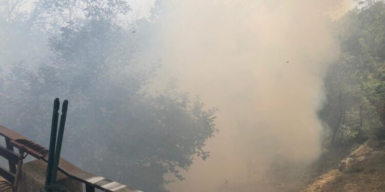 Petronà, incendio vicino alle abitazioni