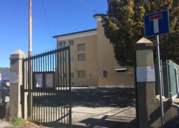 Petronà, Isabella Marchio nuovo dirigente scolastico: si occuperà anche dei plessi di Cerva e Andali