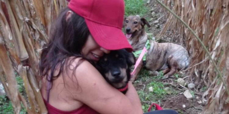 Sersale, mille e duecento chilometri per recuperare un cagnolino smarrito