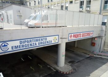 MSI-Fiamma Tricolore di Catanzaro denuncia la precaria situazione degli ospedali