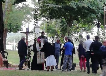 Slow Food, ribadito dai soci l’impegno di salvaguardare i castagneti di Serrastretta