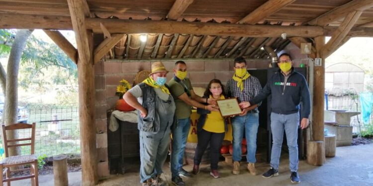 Coldiretti Calabria: a Decollatura il “cava patate day” protagonista la patata viola