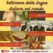 In volo sui cieli della rete la settimana della lingua italiana nel mondo. La prestigiosa rassegna organizzata da italiani.it