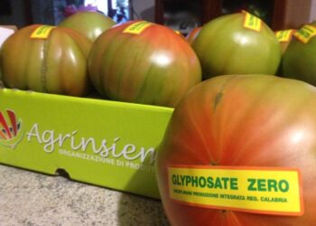 Coldiretti: la Calabria prima in Italia per numero di aziende biologiche e terza per superficie