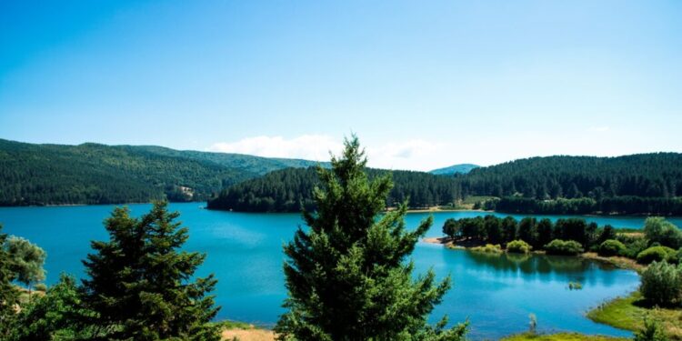 Destinaziona Sila presenta i dati della stagione estiva: forte incremento di presenze