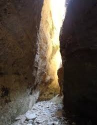 Sersale, Valli Cupe, l’opposizione propone Carmine Lupia come direttore