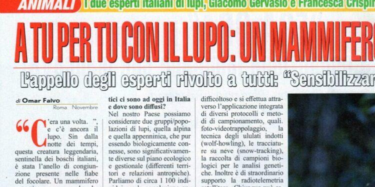 Il lupo approda su “Stop-Esclusivo”. Un reportage su questo mammifero leggendario conquista la nota rivista nazionale