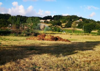 La siccità, più accentuata nelle province di Catanzaro e Crotone, preoccupa gli allevatori