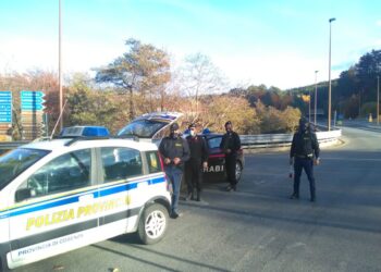 Forze dell’ordine in prima linea contro il Covid 19 / Controlli per garantire la giusta fruizione dei decreti