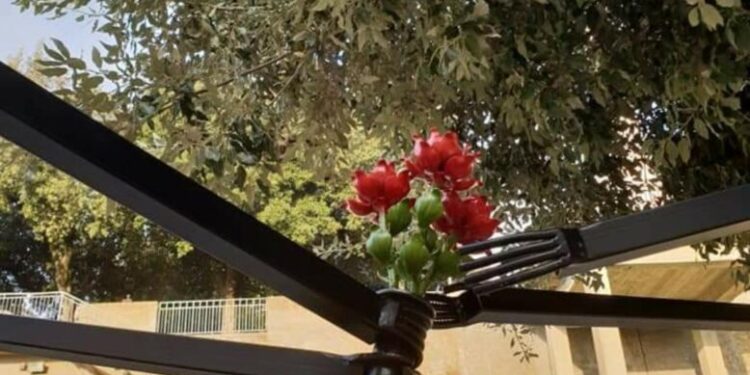 25 novembre, le testimonianze di alcune amministratrici del Reventino-Savuto