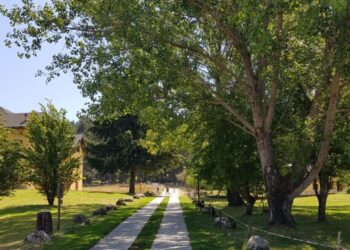 Amarezza, solo tanta amarezza. L’emergenza Calabria non solo sanitaria