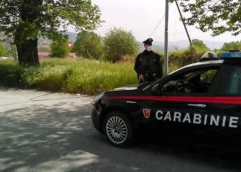 Compagnia carabinieri di Rogliano, controlli massicci nella valle del Savuto