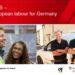 Lavoro in Germania, cercano camionisti, elettricisti, autisti autobus, cuochi e macellai