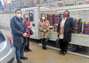 Soroptimist Club di Lamezia Terme, conclusi i 16 giorni di “Orange The World”