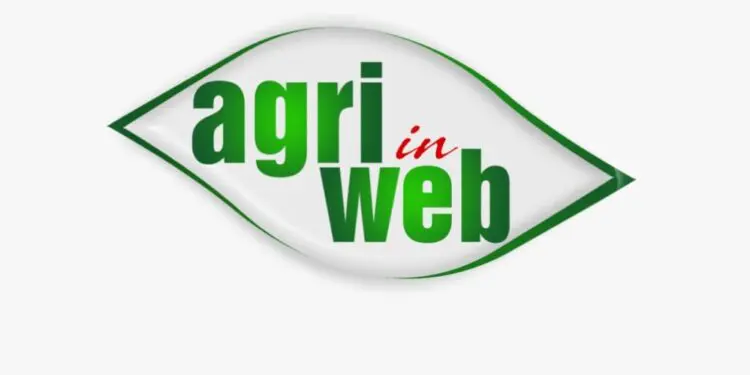 La prima Fiera Digitale in Calabria parte una nuova sfida da Lamezia Terme