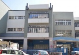 Elena De Filippis: Lettera da una scuola del nostro tempo