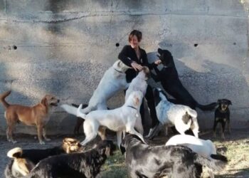 Sersale, 2020 magnifico per Associazione Balzoo amici di ronzo