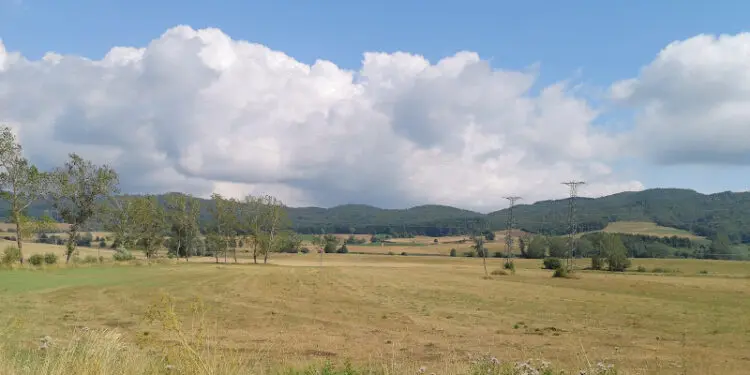 Parco nazionale della Sila, 75 milioni per i comuni dell’area protetta
