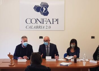 Una gestione innovativa del patrimonio forestale calabrese: le proposte di Confapi all’assessore regionale Gianluca Gallo