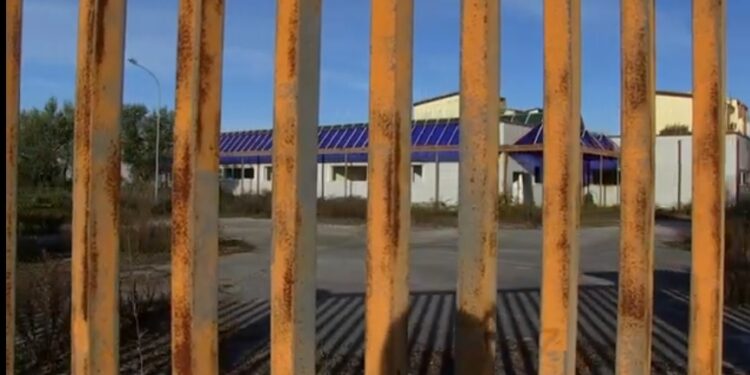 “L’invadente”, dedicato agli scandali calabresi, nuovo format televisivo di Massimo Mercuri