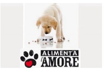 “Diamogli una zampa”: avviata campagna di raccolta alimenti per gli animali in difficoltà