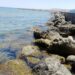 “Salviamo il nostro mare” tema posto in evidenza dai Verdi Calabria