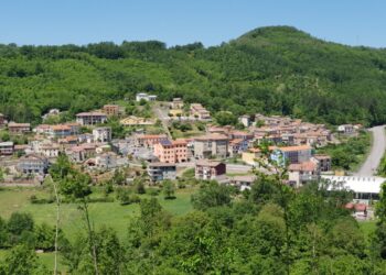 Anche Bianchi aderisce ad un’iniziativa contro i totalitarismi. L’assessore Pascuzzo: “Ha prevalso il nostro essere altamente democratici”