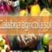 Emergenza covid, nel 2020 spesi 1,2 milioni per aiuti alimentari