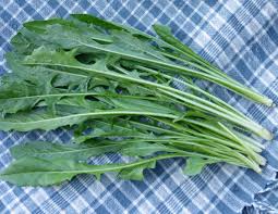 Le ricette di Piero Cantore: come usare la cicoria in cucina