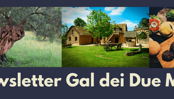 Nei prossimi giorni sul sito del Gal dei Due Mari la nuova pubblicazione del Bando Misura 4 Intervento 4.1.1: “Investimenti nelle aziende agricole”