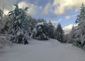 Nuovo appuntamento con lo sci nordico, la stagione agonistica del comitato Fisi Calabro-Lucano prosegue con la ‘XX Coppa Rotonda’