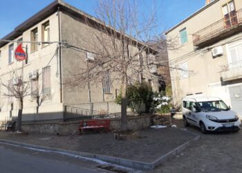 Petronà, servizio civile con Avis: cultura della donazione tra i giovani