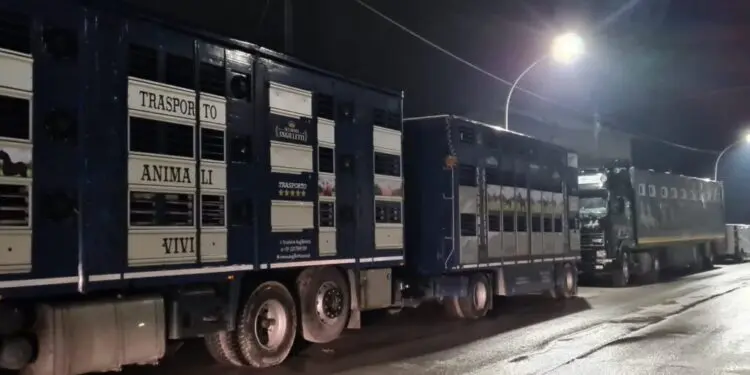 Petronà, singolare protesta trasportatore: parcheggia camion di fronte il comune