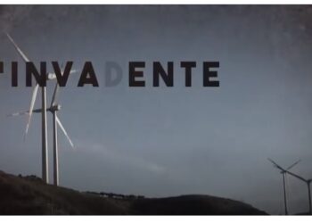 “L’invadente” (VIDEO) il Tar Calabria apre le scuole ma chiude i suoi uffici