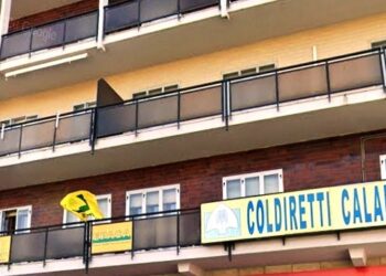 Calabria, ventitrè gli uffici Coldiretti a disposizione per la campagna di vaccinazioni 