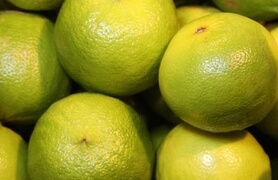 Bergamotto: un’eccellenza calabrese