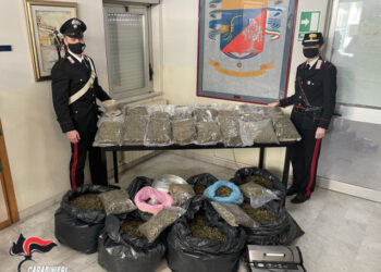 Lamezia Terme: 54 kg di marijuana in casa, carabinieri arrestano coppia