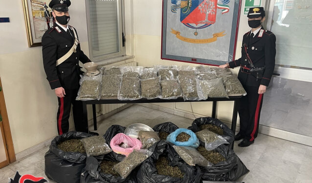 Lamezia Terme: 54 kg di marijuana in casa, carabinieri arrestano coppia