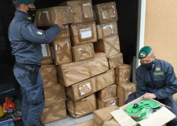 Lamezia Terme,1300 capi sequestrati da GdF donati a Caritas diocesana